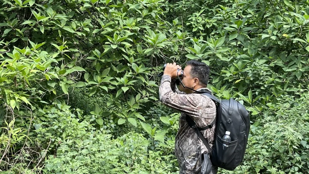 Birdwatching Hotspots in Nepal 2 Birdwatching Hotspots in Nepal