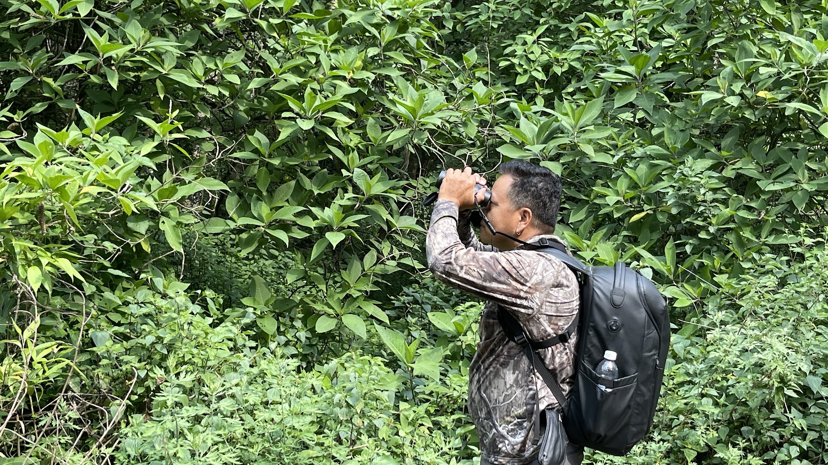 Birdwatching Hotspots in Nepal