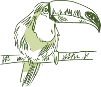 Home 62 bird-vector