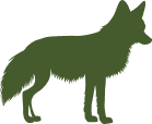 Home 64 fox