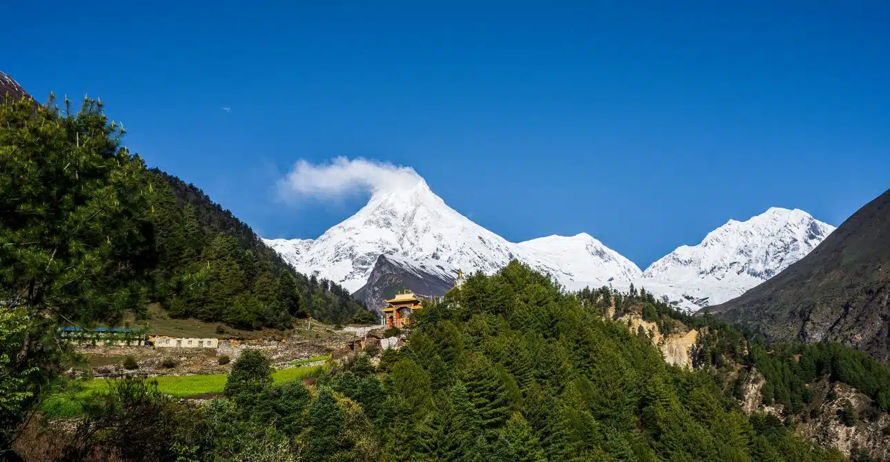 Manaslu Wildlife Photography Tour 5 Manaslu Wildlife Photography Tour