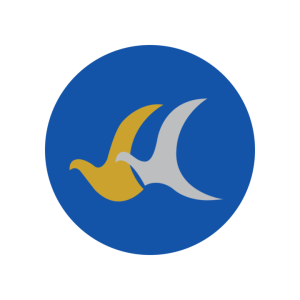Buddha Air Logo