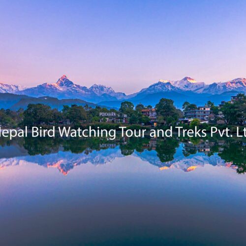 Nature Landscape Photography Tour
