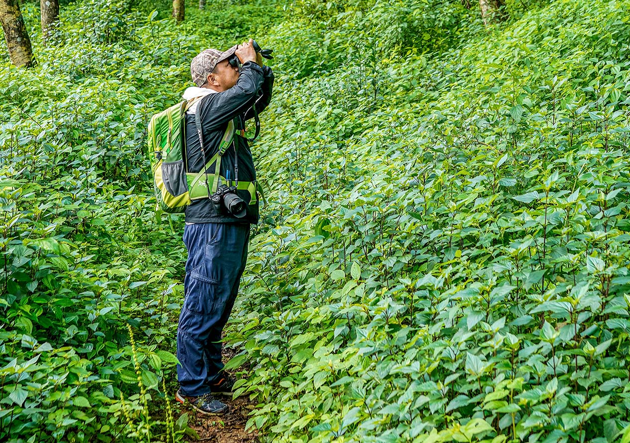 Best Places for Birdwatching in Nepal 10 Pratap Gurung Birder
