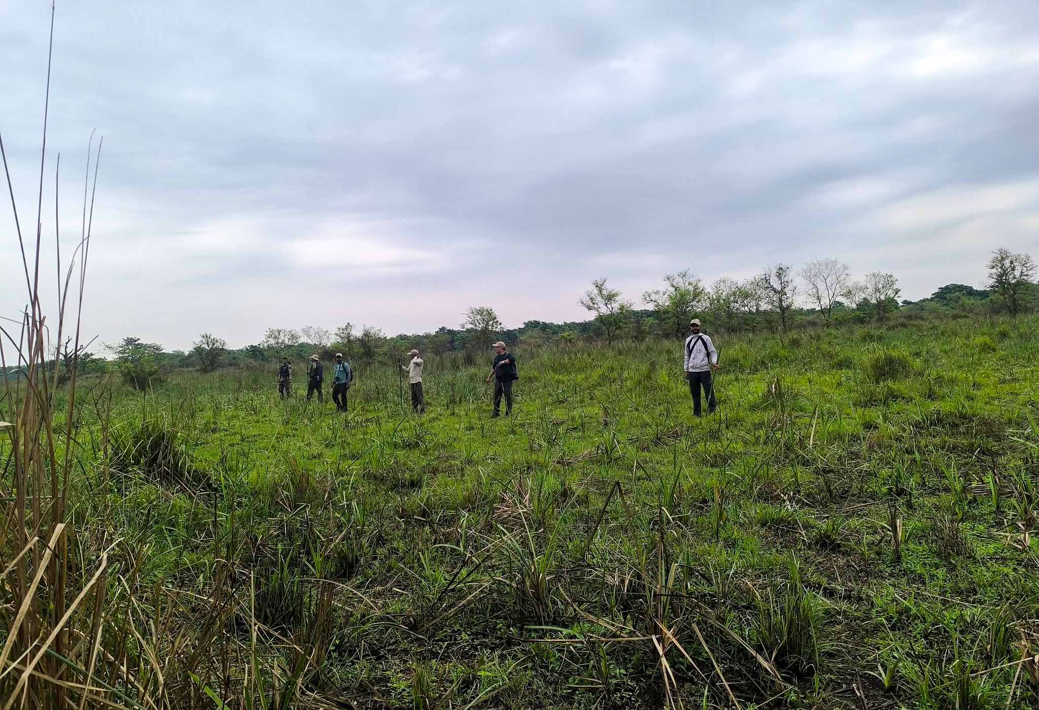 Best Places for Birdwatching in Nepal 37 Shuklaphanta National Park